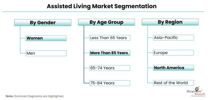 Assisted-Living-Market-Segmentation